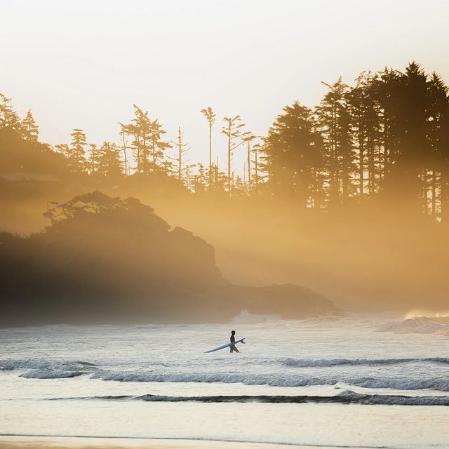 The weekend is almost here! 🤙

#surf #surfing #weekendvibes #goodtimes #pnw #pnwsurf #surfer #coldwatersurf #optoutside #nature #beach #beachlife #pacificnorthwest #surfphotography 📸: @alextaalman
